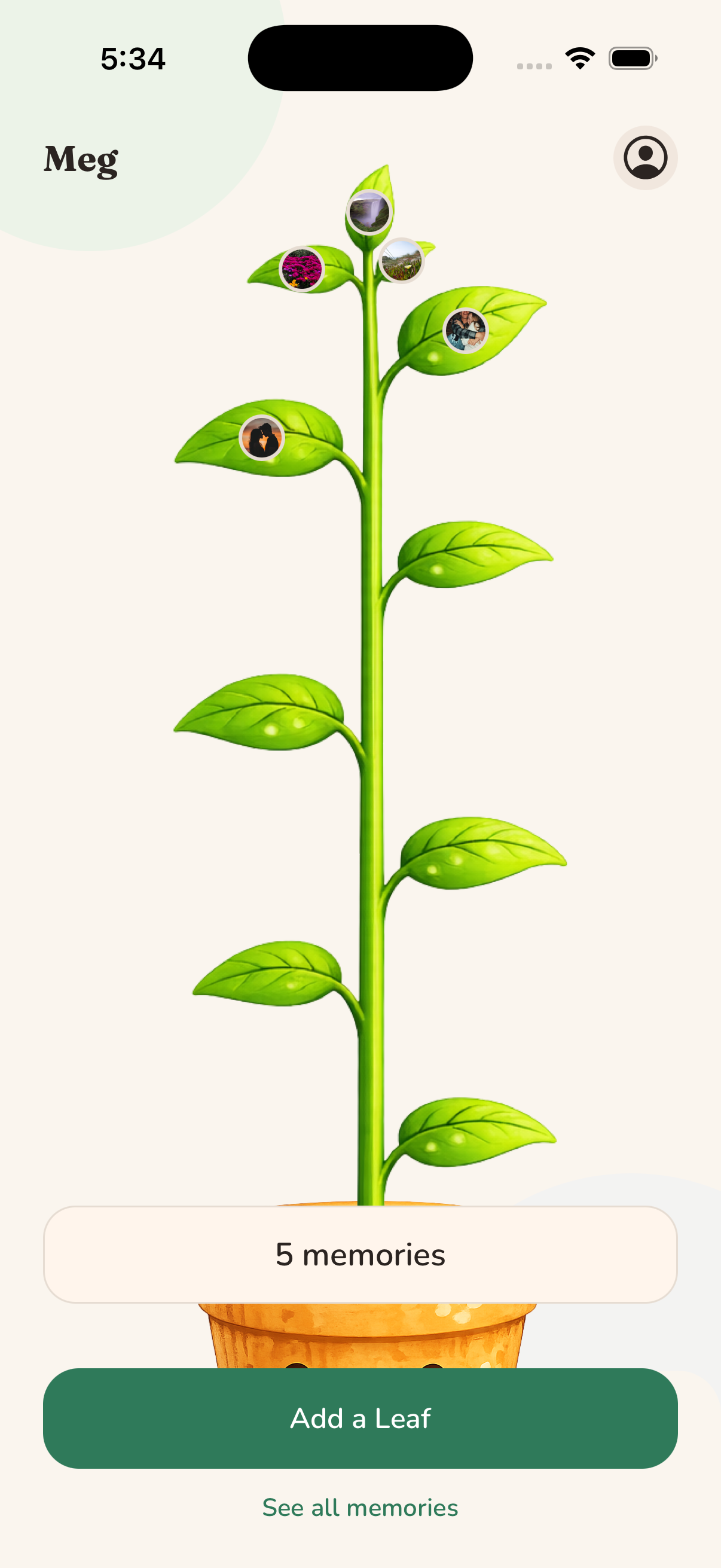 Watch your plant grow - each date adds a new leaf with your photos